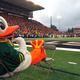 Illustration for article titled The NCAA Has Wagged Its Finger At Oregon And Chip Kelly